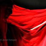 IMG_719sd7